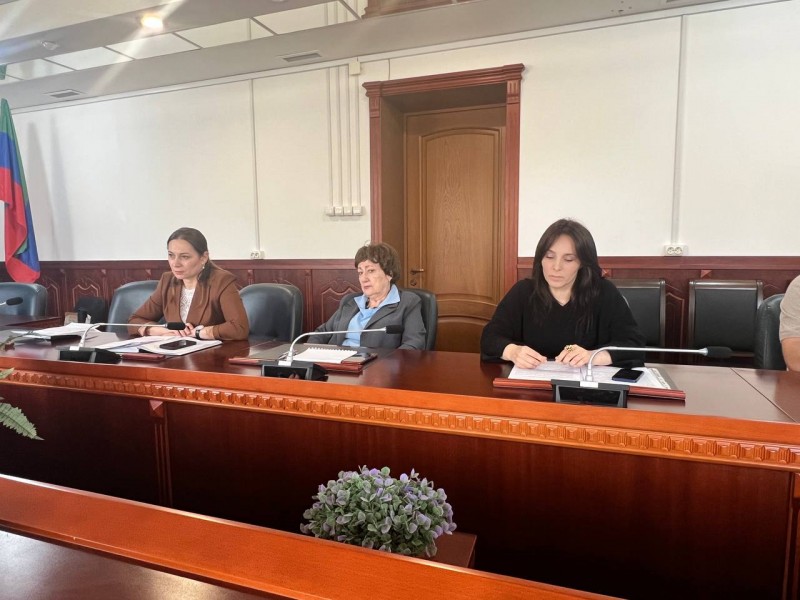 Главные врачи районных и городских медорганизаций отчитались сегодня о ходе иммунопрофилактики против гриппа - Файл 4