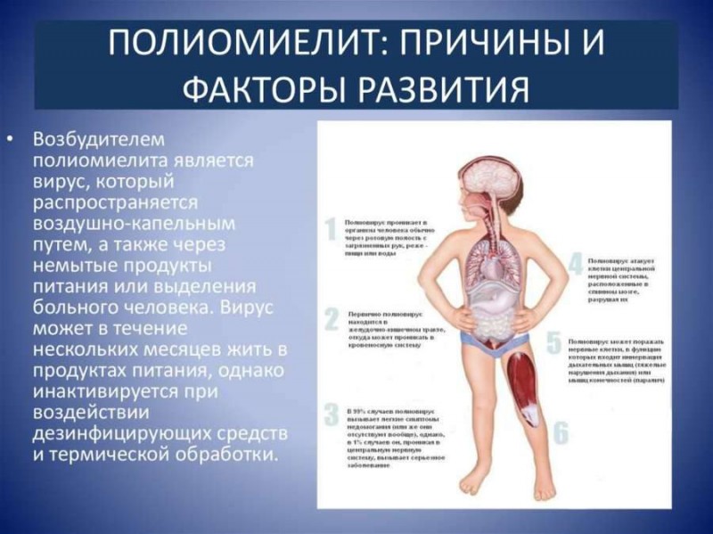 С 3 апреля в Дагестане начинается второй тур иммунизации от полиомиелита. Вакцинируются дети с 3 месяцев до 9 лет включительно.