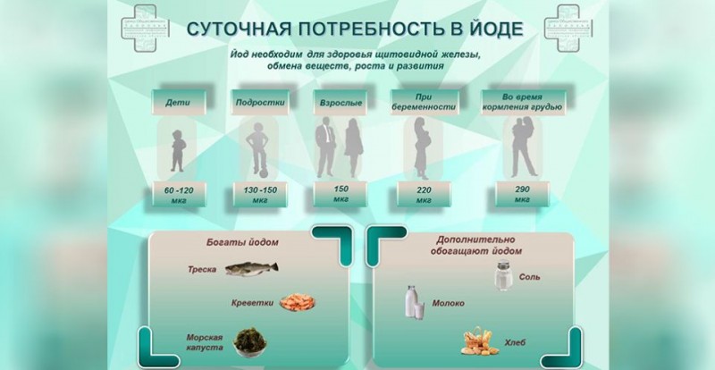 Студенческая поликлиника рассказывает молодежи о том, как уберечь щитовидную железу