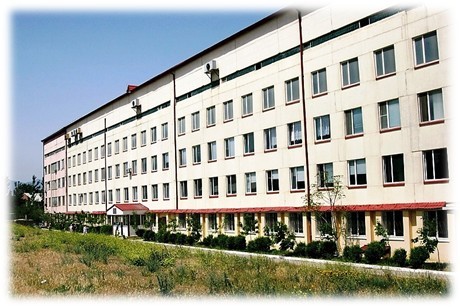Медицинские учреждения возвращаются к плановому режиму работы
