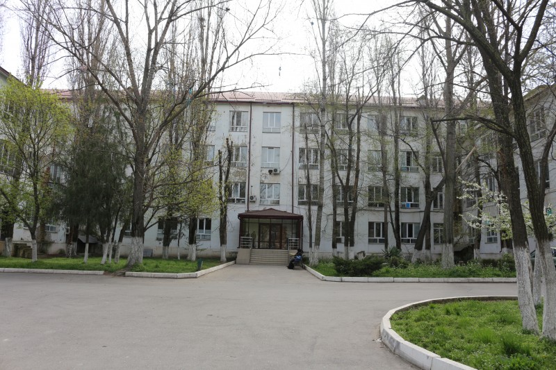 Первая в этом году тройня родилась в Дагестане - Файл 3