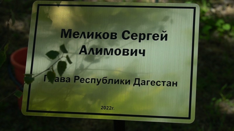 Аллея Дружбы между НМИЦ им. Герцена и Республиканским онкологическим центром. - Файл 4