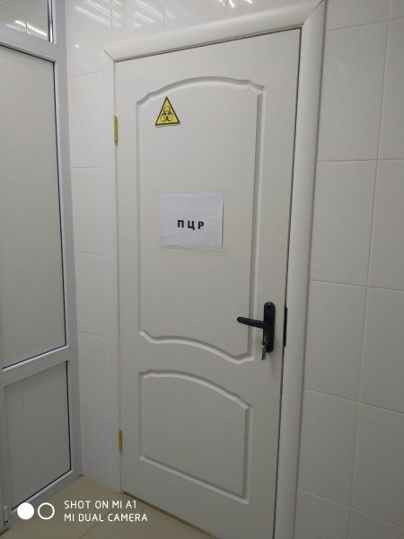 В Городском диагностическом центре открылась ПЦР-лаборатория - Файл 5