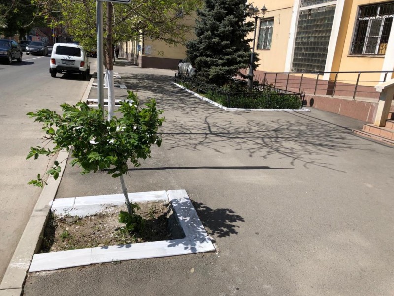 В Минздраве РД и подведомственных учреждениях прошел субботник - Файл 2