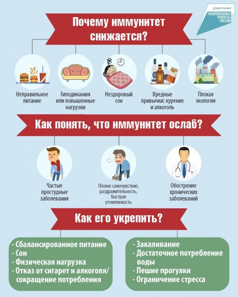 Что необходимо человеку для поддержания иммунитета?