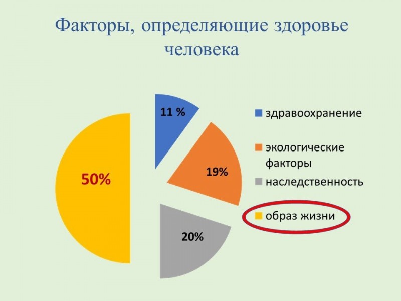 Неделя продвижения здорового образа жизни (в честь Всемирного дня здоровья 7 апреля) — с 7 по 13 апреля
