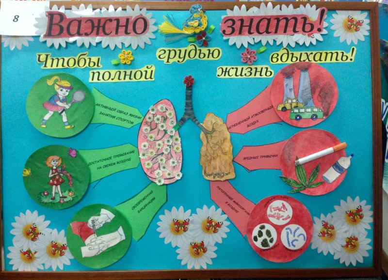 Подведены итоги конкурса санбюллетеней и плакатов по профилактике заболеваний органов дыхания - Файл 1