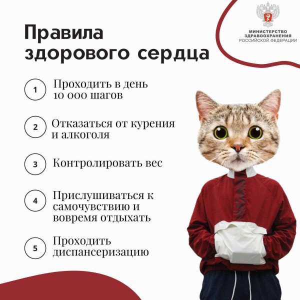 Планируем следующую неделю с пользой для здоровья