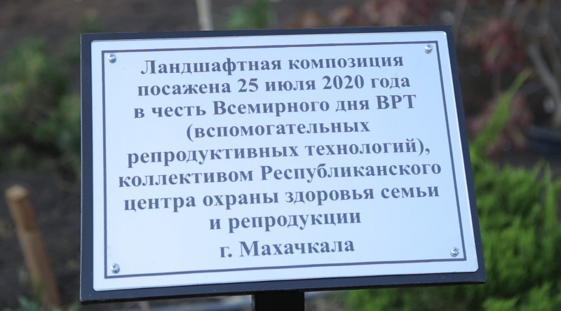 Новая ландшафтная композиция в парке напомнит о том, что бесплодие - не приговор