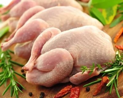 Мясо кур из Хасавюрта будет поставляться за рубеж