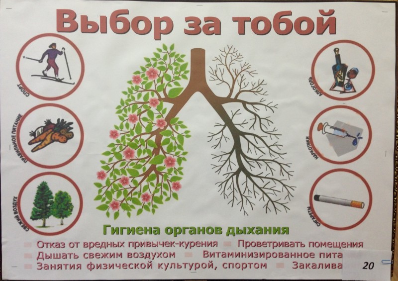Подведены итоги конкурса санбюллетеней и плакатов по профилактике заболеваний органов дыхания - Файл 3