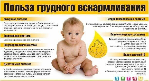 Польза грудного вскармливания - Файл 1