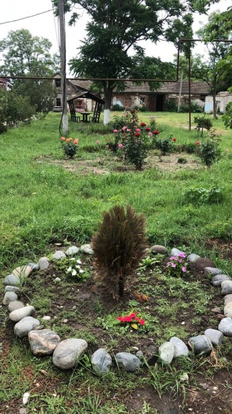 В рамках выезда министра здравоохранения РД в Кизляр на празднование 95-летия Кизлярского медицинского училища, состоялось посещение Кизлярского противотуберкулёзного диспансера, где были проведены работы по капремонту здания. - Файл 6