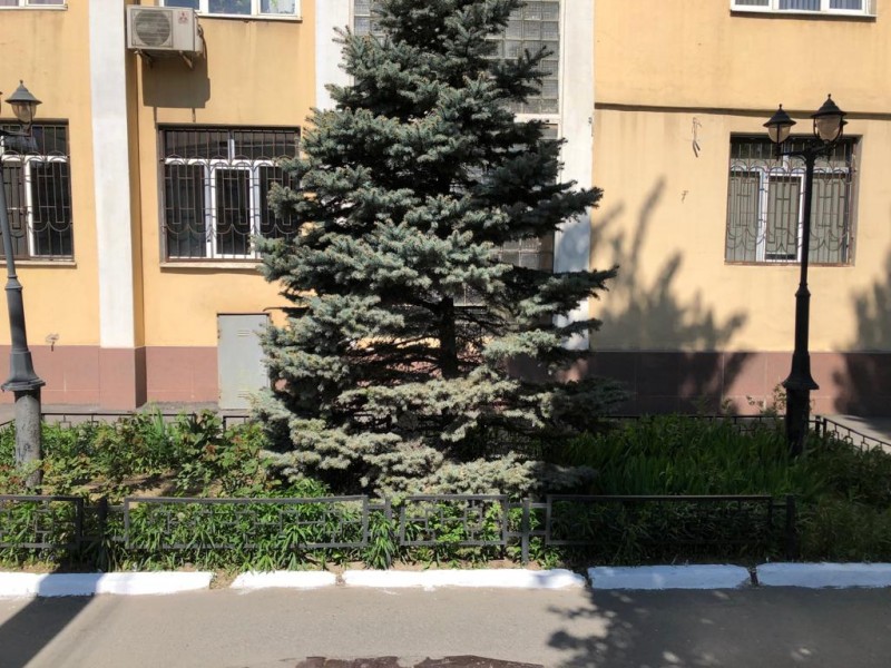 В Минздраве РД и подведомственных учреждениях прошел субботник - Файл 5